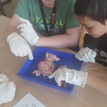 Biologie na vlastní oči pro 6. a 8. třídy