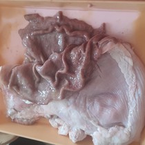 Biologie na vlastní oči pro 6. a 8. třídy