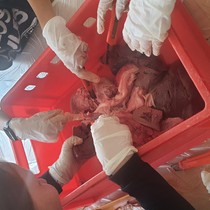 Biologie na vlastní oči pro 6. a 8. třídy