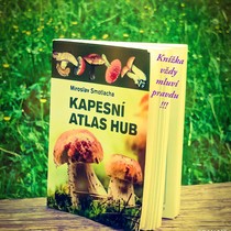 Reklama na knihu v 9.B