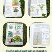 Reklama na knihu v 9.B