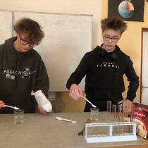 Objevování světa sacharidů v hodinách chemie