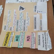 Měkkýši očima žáků 6.A a 6.B