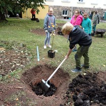 Projekt 72 hodin – sázení jabloní