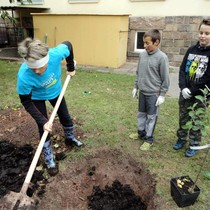 Projekt 72 hodin – sázení jabloní