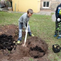 Projekt 72 hodin – sázení jabloní