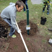 Projekt 72 hodin – sázení jabloní