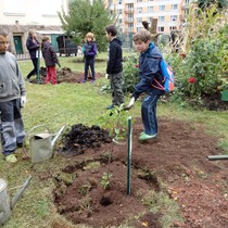 Projekt 72 hodin – sázení jabloní