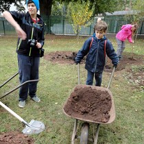 Projekt 72 hodin – sázení jabloní