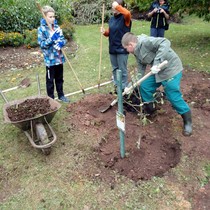 Projekt 72 hodin – sázení jabloní