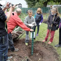 Projekt 72 hodin – sázení jabloní