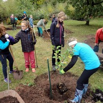 Projekt 72 hodin – sázení jabloní