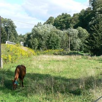 Fotosoutěž