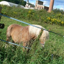 Fotosoutěž