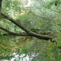 Fotosoutěž