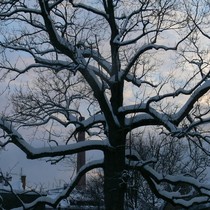 Fotosoutěž