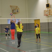 Turnaj v přehazované