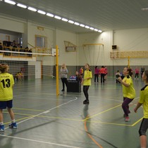 Turnaj v přehazované