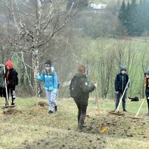 Hrabeme krkonošské louky