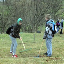 Hrabeme krkonošské louky