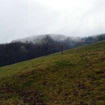 Hrabeme krkonošské louky