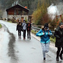 Hrabeme krkonošské louky