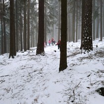Zimní výprava 2.A hlubokými lesy 