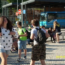 Exkurze Kladruby nad Labem