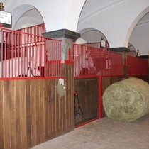 Exkurze Kladruby nad Labem