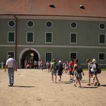 Exkurze Kladruby nad Labem