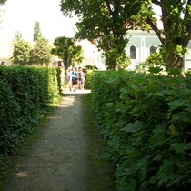 Exkurze Kladruby nad Labem