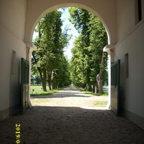 Exkurze Kladruby nad Labem