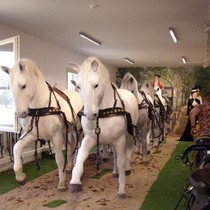 Exkurze Kladruby nad Labem