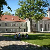 Exkurze Kladruby nad Labem