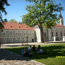 Exkurze Kladruby nad Labem