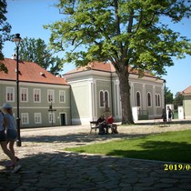 Exkurze Kladruby nad Labem