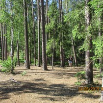 8.B v městských lesích v Hradci Králové