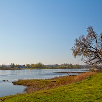 Ekosystém řeka