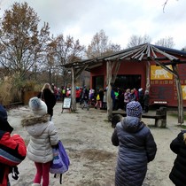 Školní družina ve vánoční ZOO