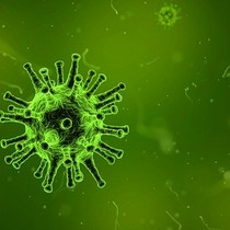 Koronavirus - ZÁKAZ VSTUPU do ZŠ a ŠD