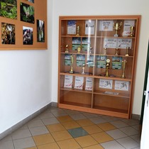 Galerie žákovských úspěchů na 1. stupni