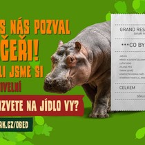 Pozvali jsme 11 zvířat na jídlo!