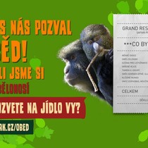 Pozvali jsme 11 zvířat na jídlo!