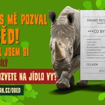 Pozvali jsme 11 zvířat na jídlo!