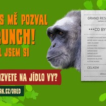 Pozvali jsme 11 zvířat na jídlo!