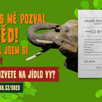 Pozvali jsme 11 zvířat na jídlo!