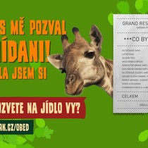 Pozvali jsme 11 zvířat na jídlo!