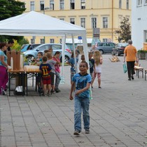 Běh "Za zdravé Hostinné"