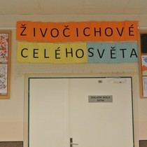 Živočichové celého světa